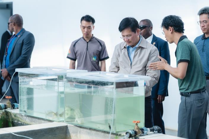 Minister Lin inspects large-scale fish fry cultivation technologies at the Aquaculture Research and Production Centre, a collaboration between Taiwan and Eswatini.
