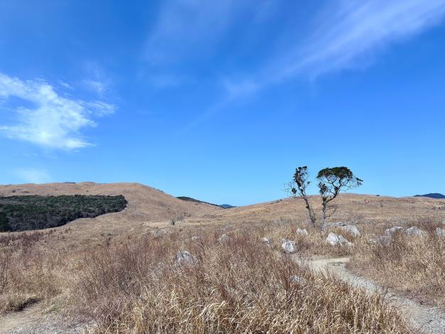 LINE_ALBUM_20250314山口縣 秋吉台_250319_7