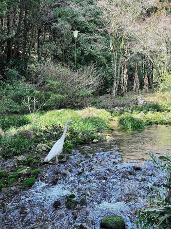 LINE_ALBUM_20250314山口縣 秋芳洞_250319_8