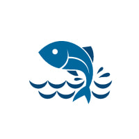 區域漁業管理組織